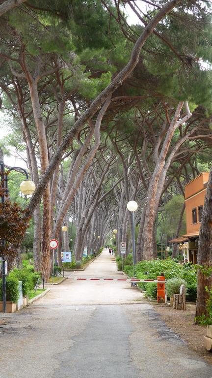 Hotel Leopoldo Castiglioncello Dış mekan fotoğraf